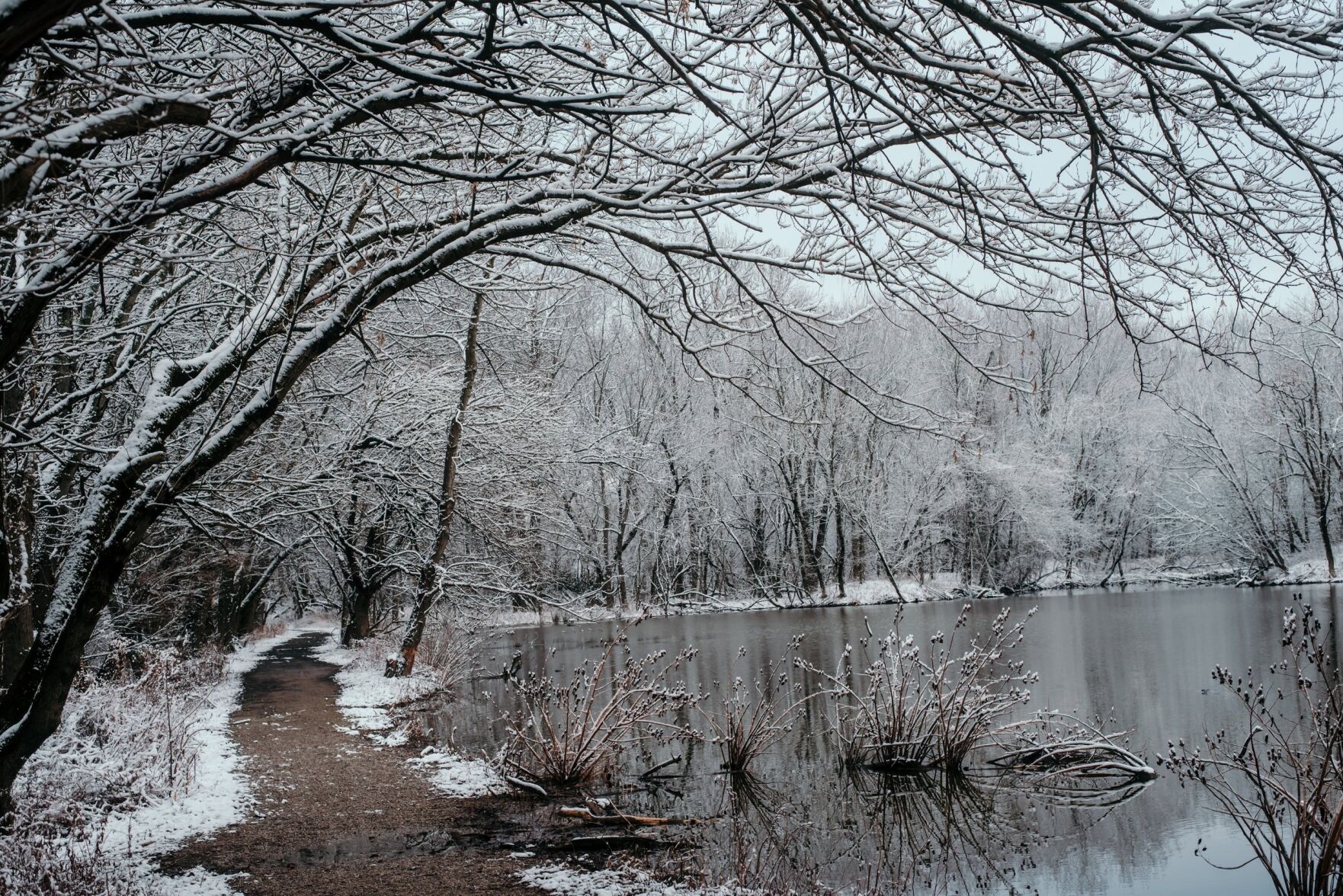 City of New Albany expanding trails at Loop Island Wetlands nature preserve
